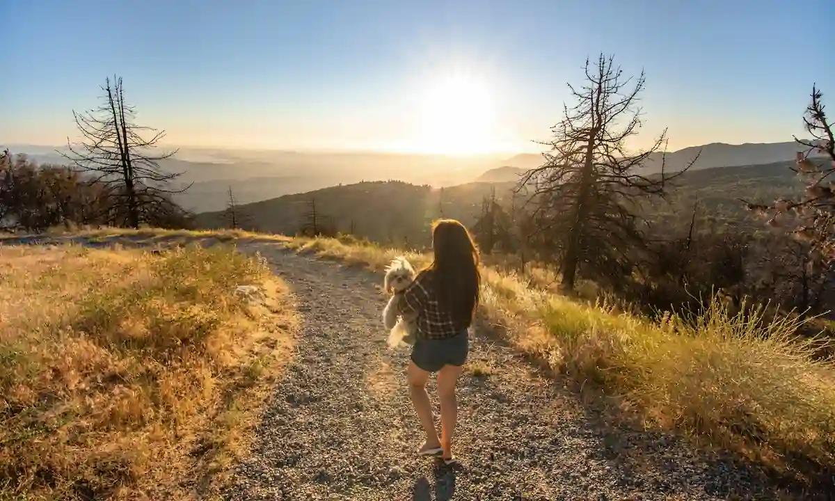 A woman with long hair, wearing a plaid shirt and shorts, walks along a gravel path holding a small dog. The sun is setting in the background, casting a warm glow over the mountainous landscape with dry grass and trees.
