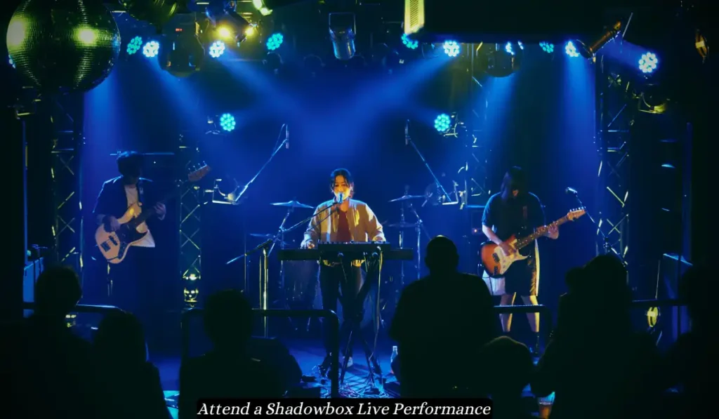 A band performs on a dimly lit stage with colorful spotlights. The lead singer plays a keyboard at the center, flanked by a guitarist and bassist. An audience watches from the foreground. Text at the bottom says, "Attend a Shadowbox Live Performance.
