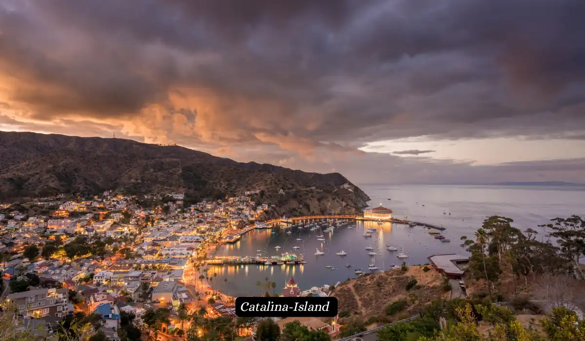 A scenic coastal town at night. The town is nestled on a hillside, with a harbor filled with boats. The buildings are lit up, and there are lights strung along the pier. The water reflects the lights, creating a beautiful scene.