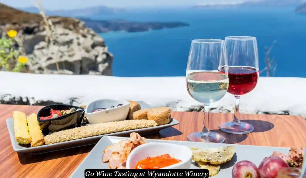 Two plates of assorted appetizers, including breadsticks, dips, and cheeses, are set on a wooden table next to two glasses of wine—one white and one red. In the background is a stunning coastal view with clear blue water and distant islands, captioned "Go Wine Tasting at Wyandotte Winery.
