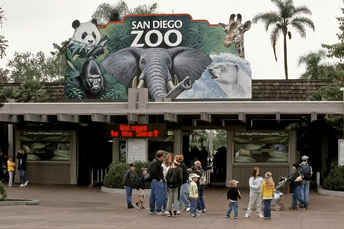 A person is standing at the entrance of the San Diego Zoo. The zoo's name is written in large letters above the entrance. There are trees and plants surrounding the entrance.