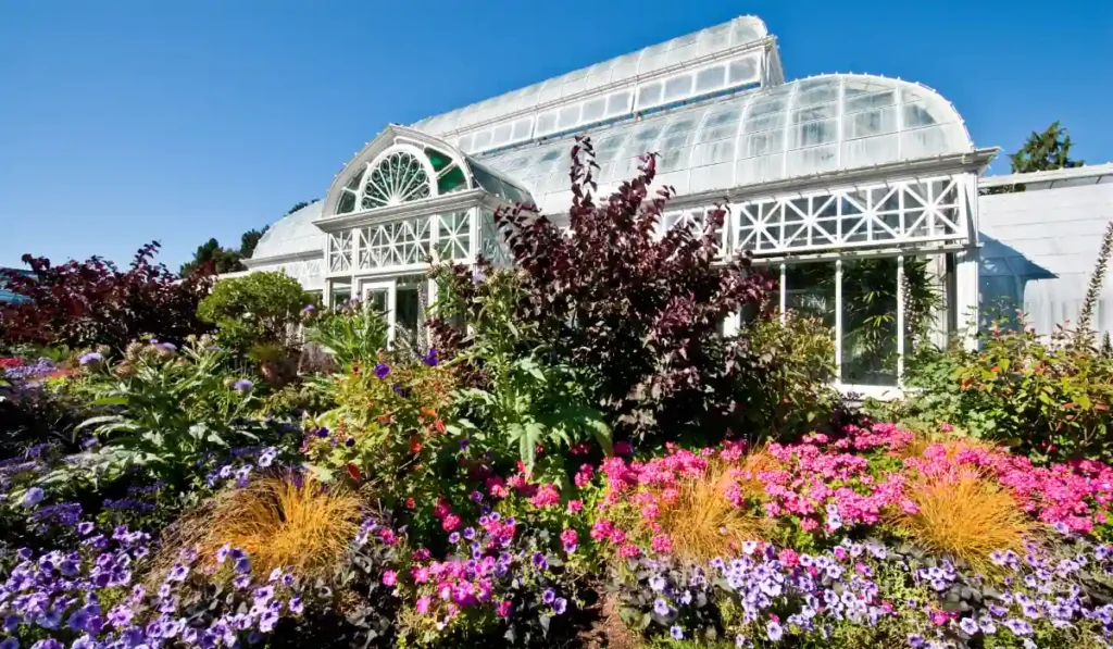 A beautiful greenhouse with a glass dome roof surrounded by a vibrant garden full of colorful flowers and lush greenery under a clear blue sky.
