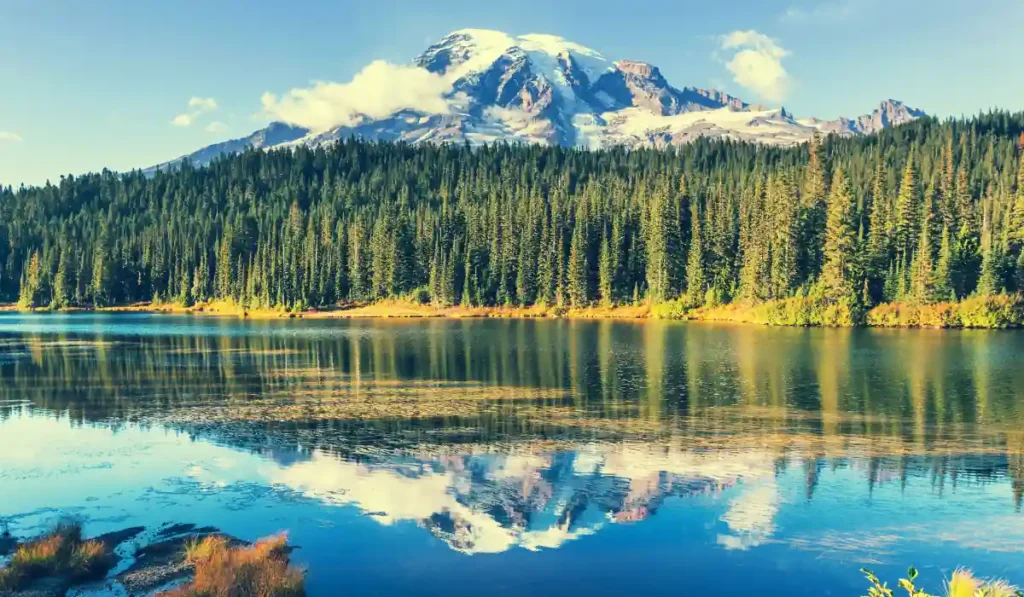 A serene lake reflects a dense forest and a snow-capped mountain under a clear blue sky. Fluffy clouds hover around the mountain peak, and sunlight illuminates the landscape, creating a peaceful and picturesque scene.