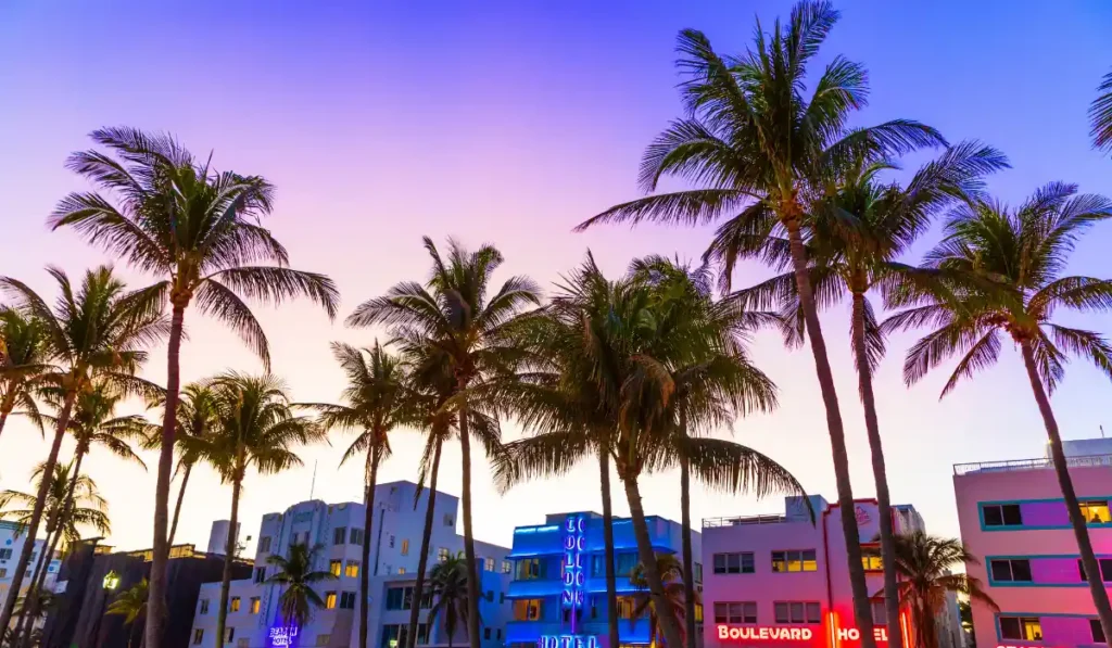 A vibrant street scene at sunset with tall palm trees silhouetted against a colorful sky. Below, buildings with neon signs create an energetic, tropical atmosphere.