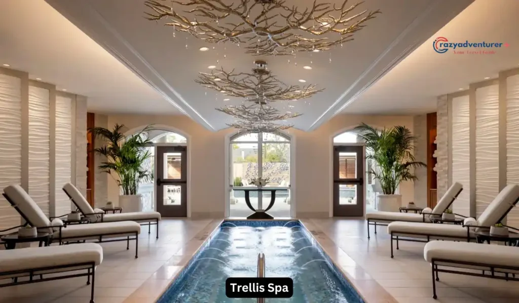 A luxurious spa interior with a central water feature, lined with cushioned lounge chairs. Elegant lighting fixtures resembling tree branches hang from the ceiling. Large windows and potted plants add a serene ambiance.
