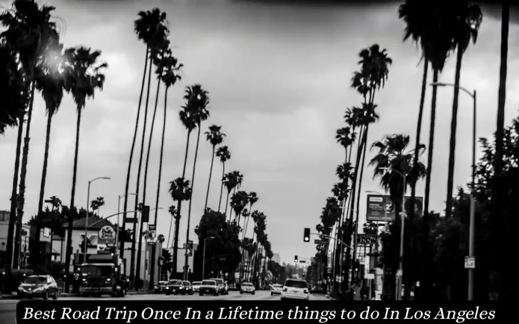 Best Road Trip Once In a Lifetime things to do In Los Angeles