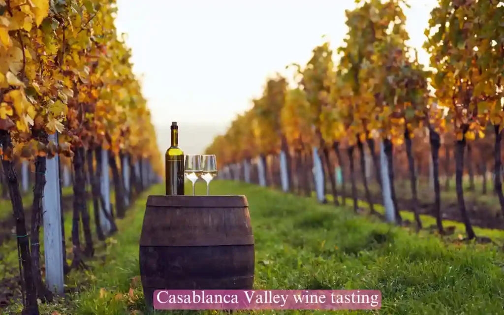 Casablanca Valley wine tasting