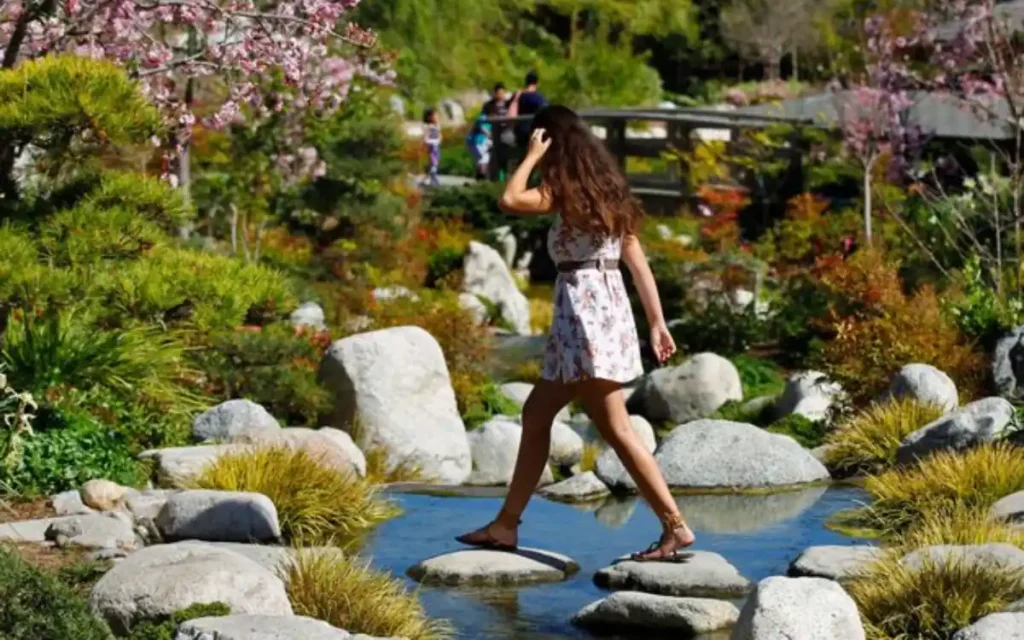 Japanese Friendship Garden