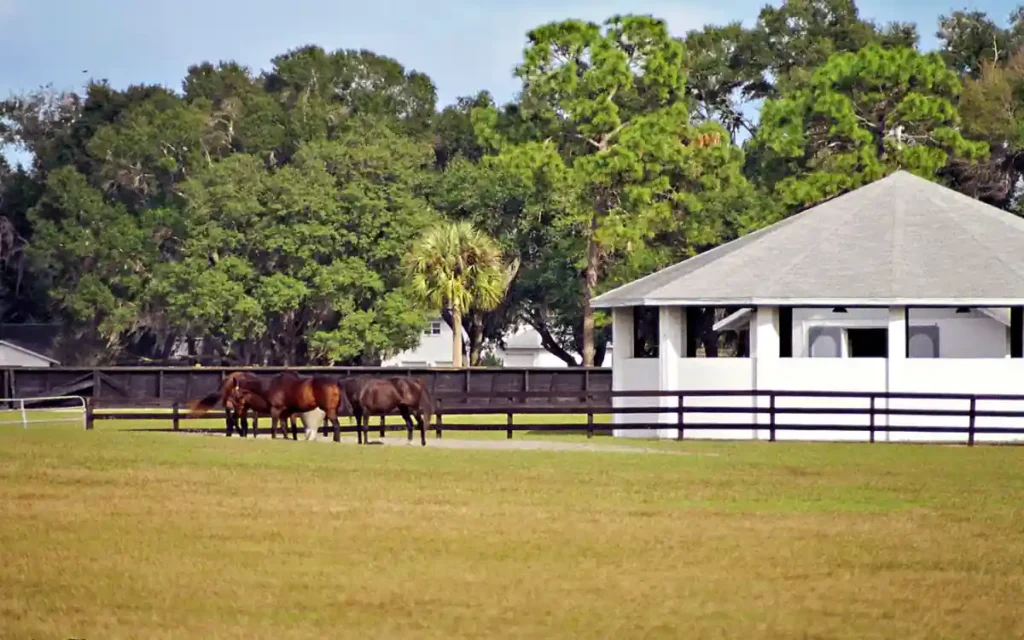 Texas Rose Horse Park