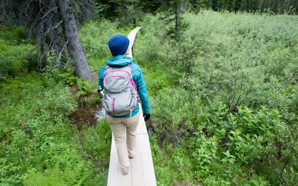 Best hikes in Glacier National Park